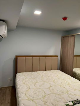 @Condorental condo for rent The Tree Pattanakarn - Ekkamai