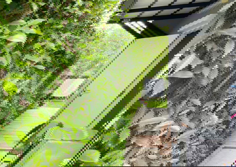 รูป 🏡🌳 角落独栋别墅出售!4 卧室,近 Mega Bangna 与 素万那普机场 - รูปที่ 26/26