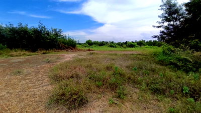 ที่ดิน บรบือ มหาสารคาม : BP00701 ขายที่ดินว่างเปล่า ตำบลบรบือ อำเภอบรบือ มหาสารคาม