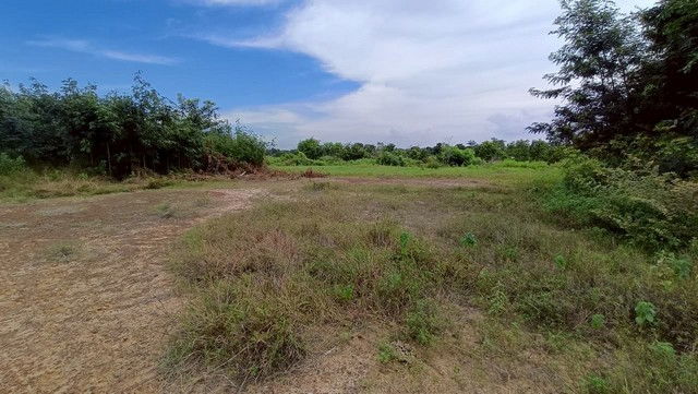 รูป BP00701 ขายที่ดินว่างเปล่า ตำบลบรบือ อำเภอบรบือ มหาสารคาม - รูปที่ 1/8