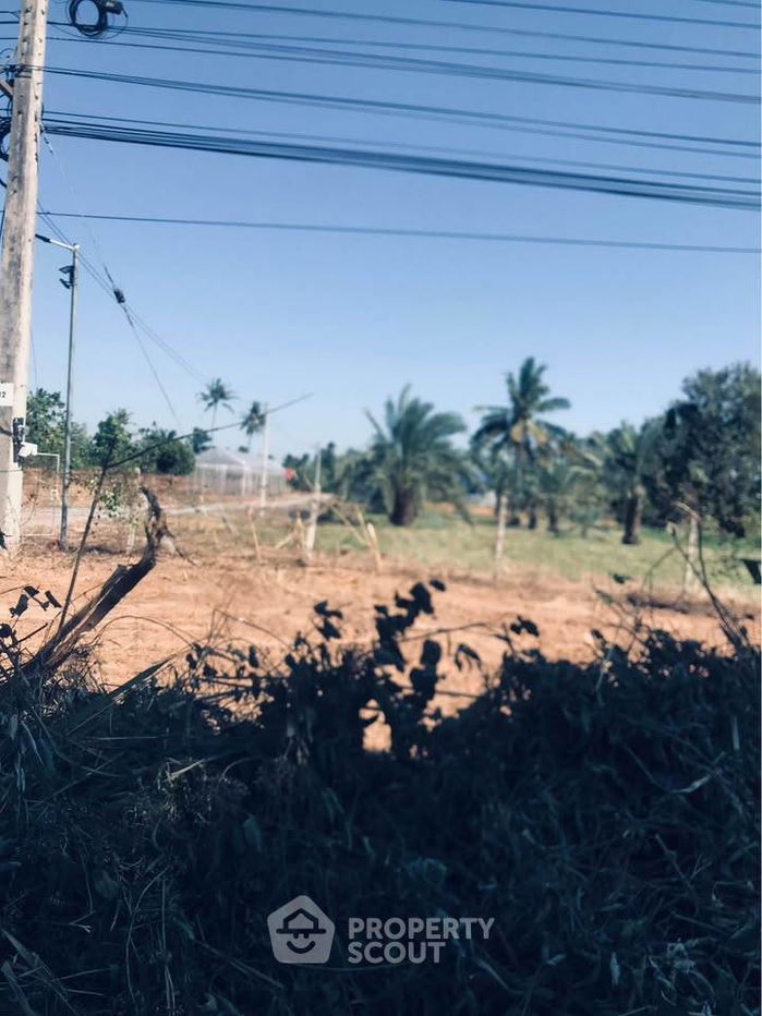 รูป ที่ดินสำหรับปล่อยขาย 8,000 ตารางเมตร แถว ใน หนองตาแต้ม (ID 2503447) - รูปที่ 1/3