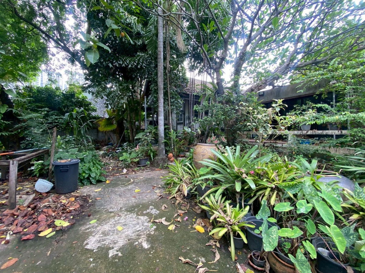 รูป 🏡 ขายบ้านเดี่ยว พร้อมที่ดิน ซอยติวานนท์ 18  List : 95196 - รูปที่ 11/12