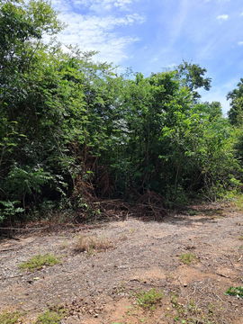 🏞️  ขายที่ดินเปล่า 4-0-72 ไร่ ต.กลอนโด อ.ด่านมะขามเตี้ย จ.กาญจนบุรี   📌 Listing no. 94739