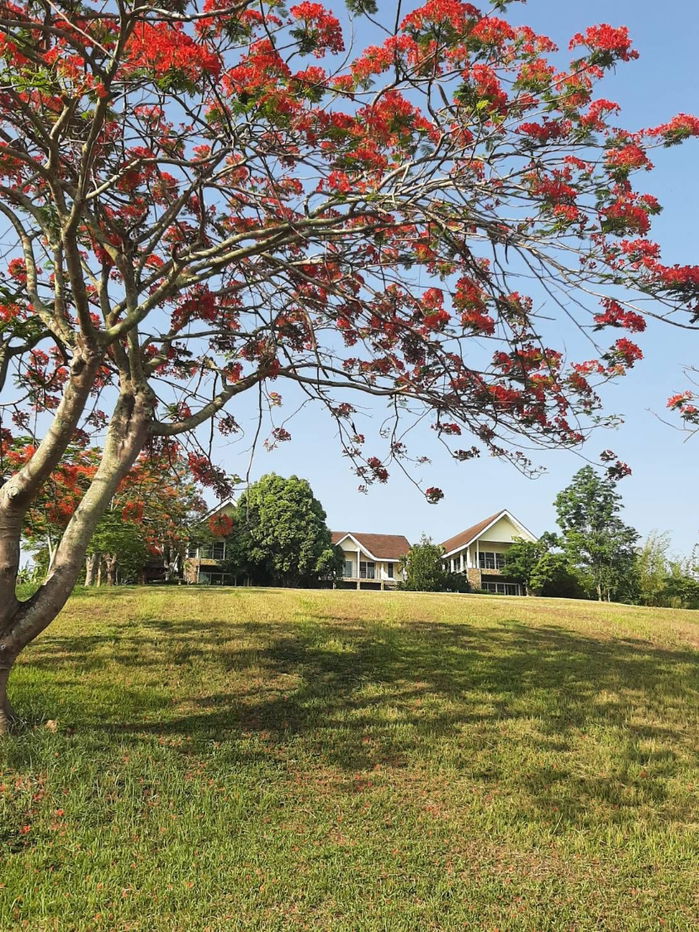 รูป ให้เช่าวิลล่าพร้อมที่ดินขนาด24ไร่ เหมาะพัฒนาเป็นresortหรือwellness ทำเลดี เดินทางสะดวก - รูปที่ 10/13