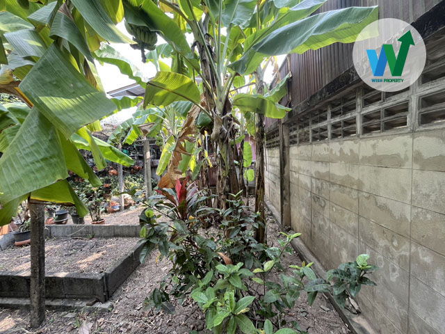 รูป ขายที่ดิน ติดถนนหน้ากว้างถึง 8 เมตร รถยนต์เข้า-ออกสะดวก สามารถขับสวนกันได้สบาย ไม่แออัด - รูปที่ 7/9