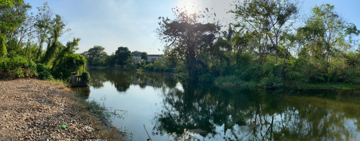 รูป ขายที่ดิน หมู่บ้านเลคการ์เด้นวิลล์ รังสิต คลอง3 ธัญบุรี รังสิต-นครนายก68 พื้นที่ 265 ตรว. ใกล้ฟิวเจอร์ - รูปที่ 3/5