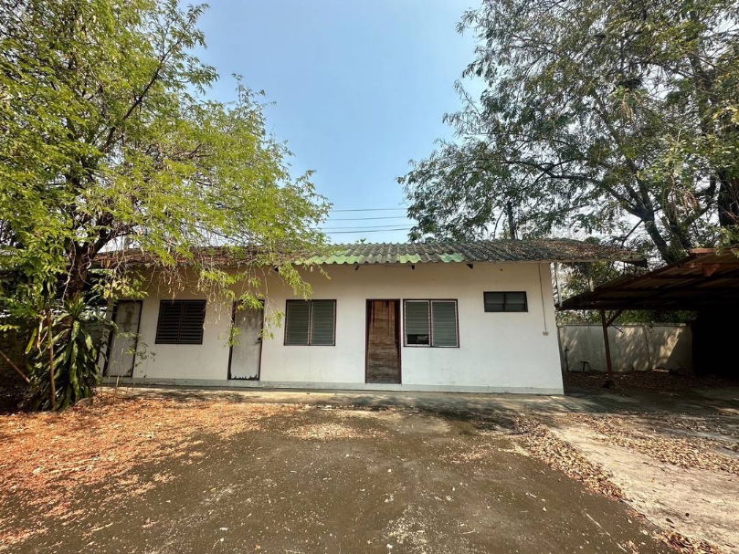 รูป ให้เช่า ที่ดิน สารภี ท่าศาลา  2-3-35 ไร่ ใกล้ บิ๊กซี ดอนจั่น (ID:270LR) - รูปที่ 4/4