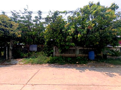 ขายบ้านเดี่ยว : BP00284 ขายบ้านเดี่ยว ตำบลประทาย อำเภอประทาย นครราชสีมา