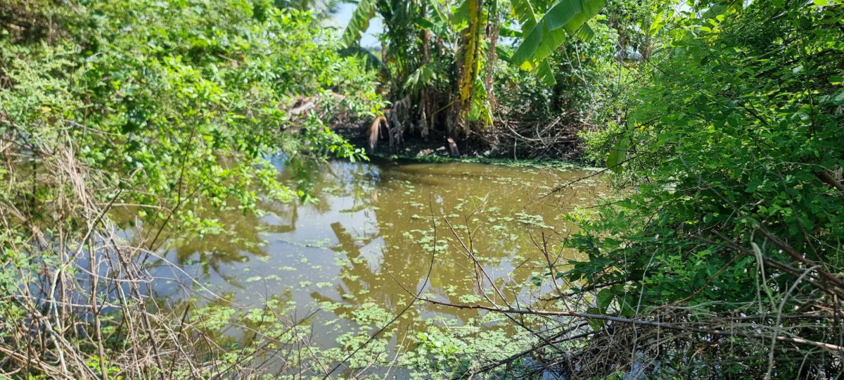 รูป ขายที่ดิน 1 ไร่ ใกล้สุวรรณภูมิ - รูปที่ 10/10