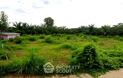 Land for sale Petchburi : 28,800 m² Land for Sale in Tha Takhro (ID 2433065)
