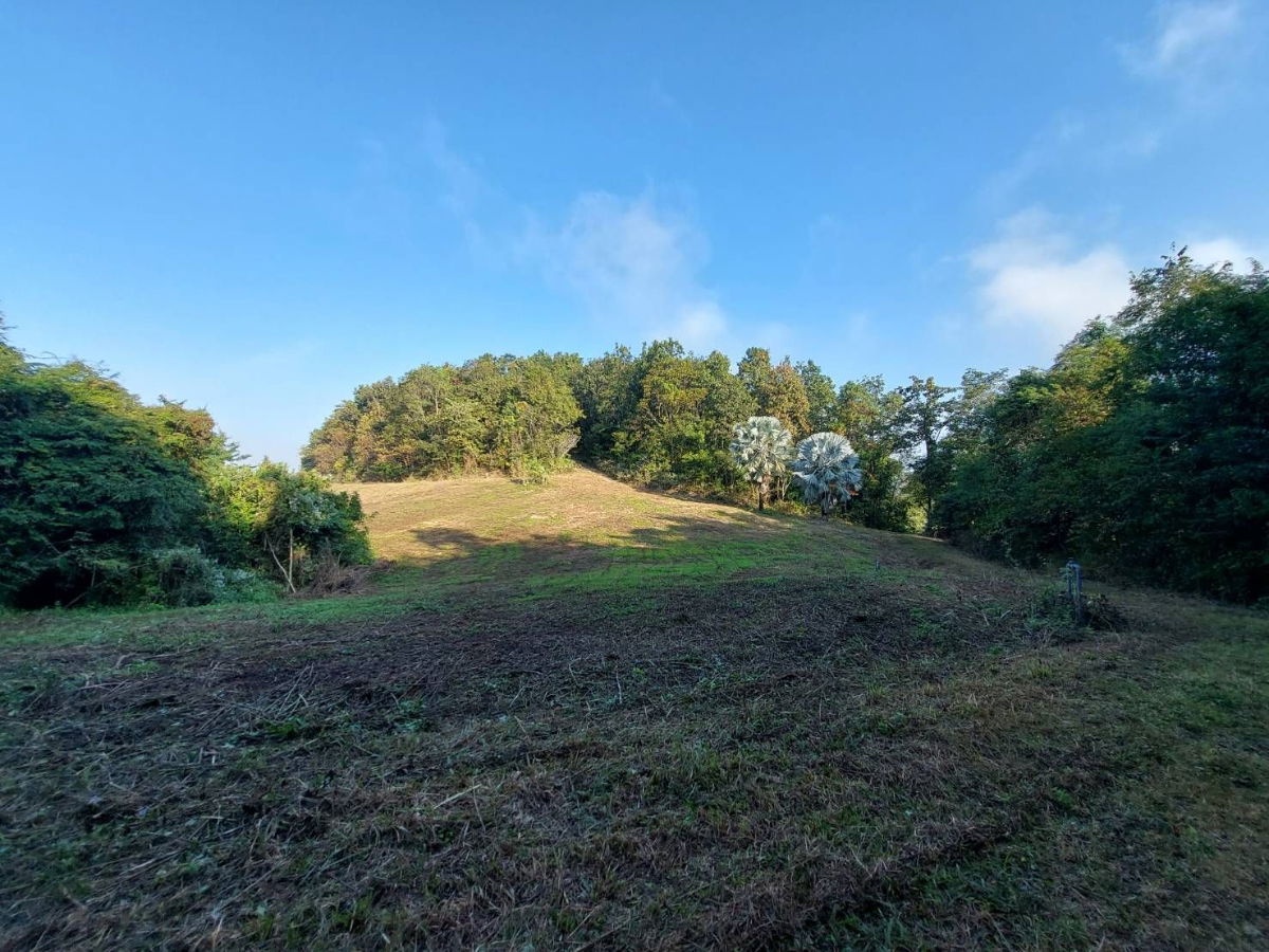 รูป ให้เช่าวิลล่าพร้อมที่ดินขนาด24ไร่ เหมาะพัฒนาเป็นresortหรือwellness ทำเลดี เดินทางสะดวก - รูปที่ 7/13