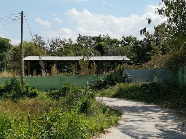 รูป BP00654 ขายโกดัง ตำบลหนองโดน อำเภอลำปลายมาศ บุรีรัมย์ - รูปที่ 5/8