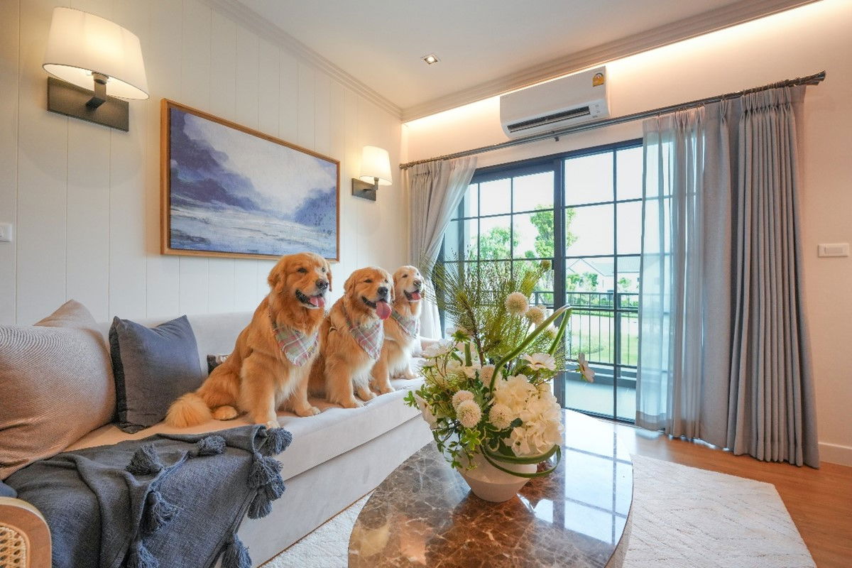 รูป ขายบ้านมือ 1 จากโครงการ Centro รามอินทรา-จตุโชติ 3  | ติดต่อฝ่ายขาย : 061-6598997- Line OA : @Newlight (มี@) - รูปที่ 9/16