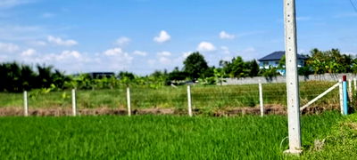 ที่ดิน เขตลาดกระบัง : ขายที่ดิน 1 ไร่ ใกล้สุวรรณภูมิ