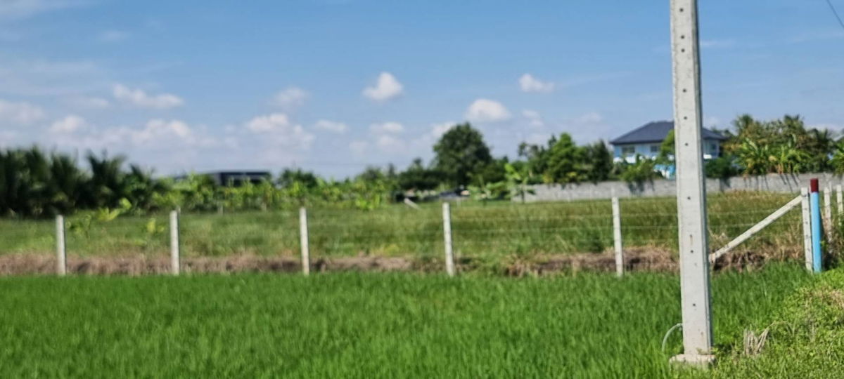 รูป ขายที่ดิน 1 ไร่ ใกล้สุวรรณภูมิ - รูปที่ 1/10