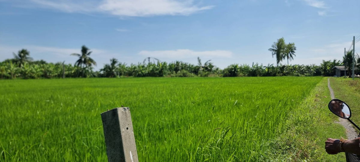 รูป ขายที่ดิน 1 ไร่ ใกล้สุวรรณภูมิ - รูปที่ 4/10