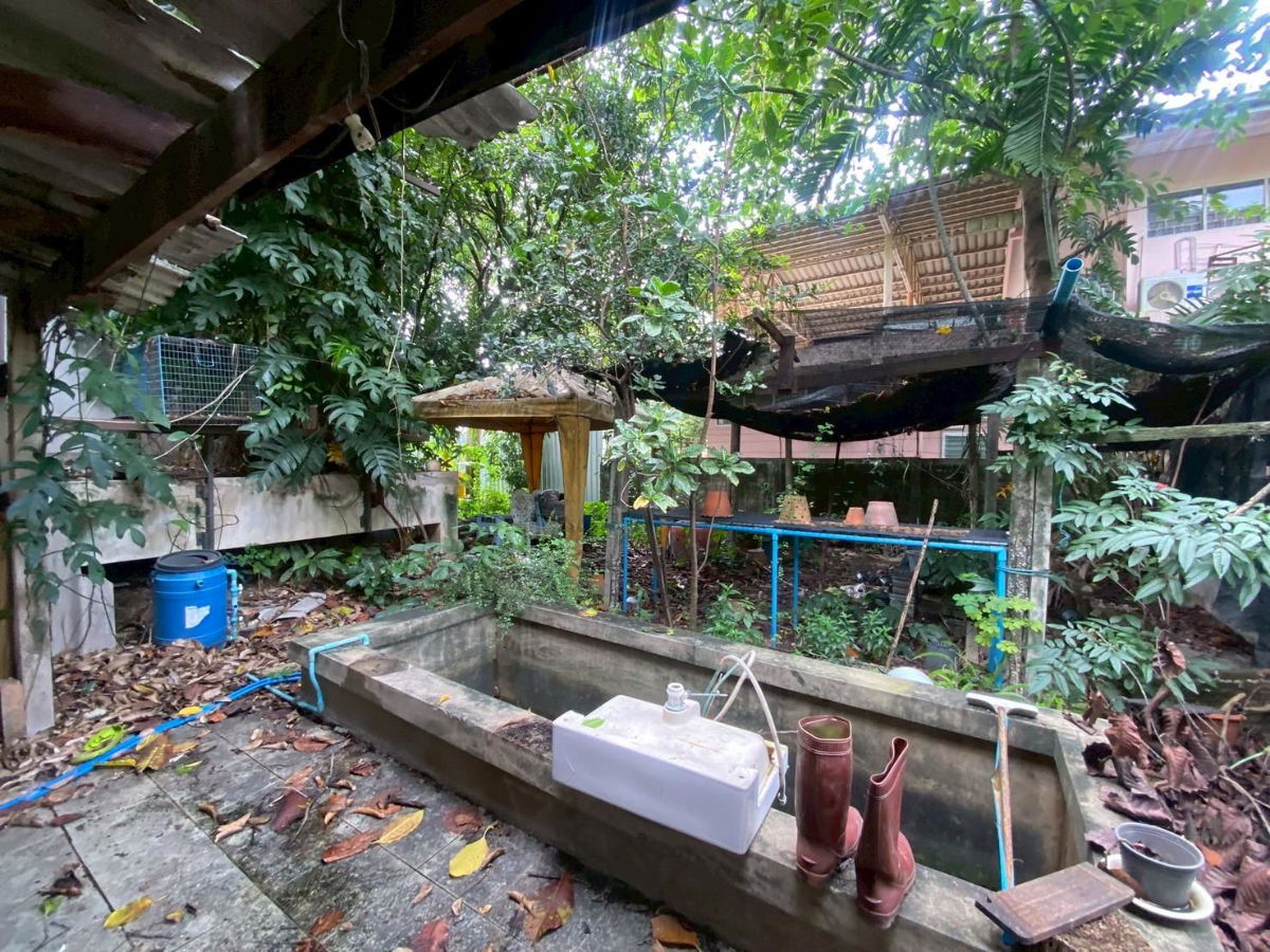 รูป 🏡 ขายบ้านเดี่ยว พร้อมที่ดิน ซอยติวานนท์ 18  List : 95196 - รูปที่ 6/12