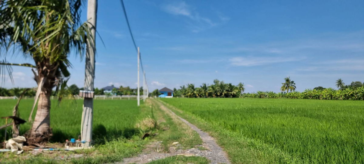 รูป ขายที่ดิน 1 ไร่ ใกล้สุวรรณภูมิ - รูปที่ 8/9