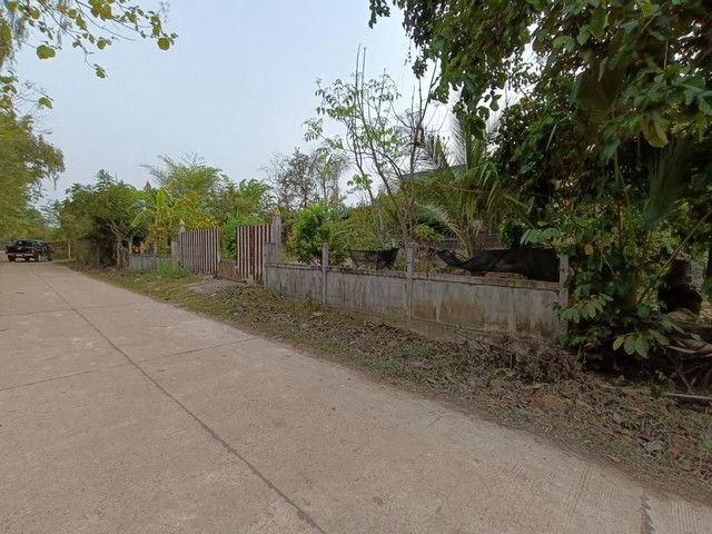 รูป BP00878 ขายบ้านเดี่ยว ตำบลโคกก่อง อำเภอเมืองบึงกาฬ บึงกาฬ - รูปที่ 6/8