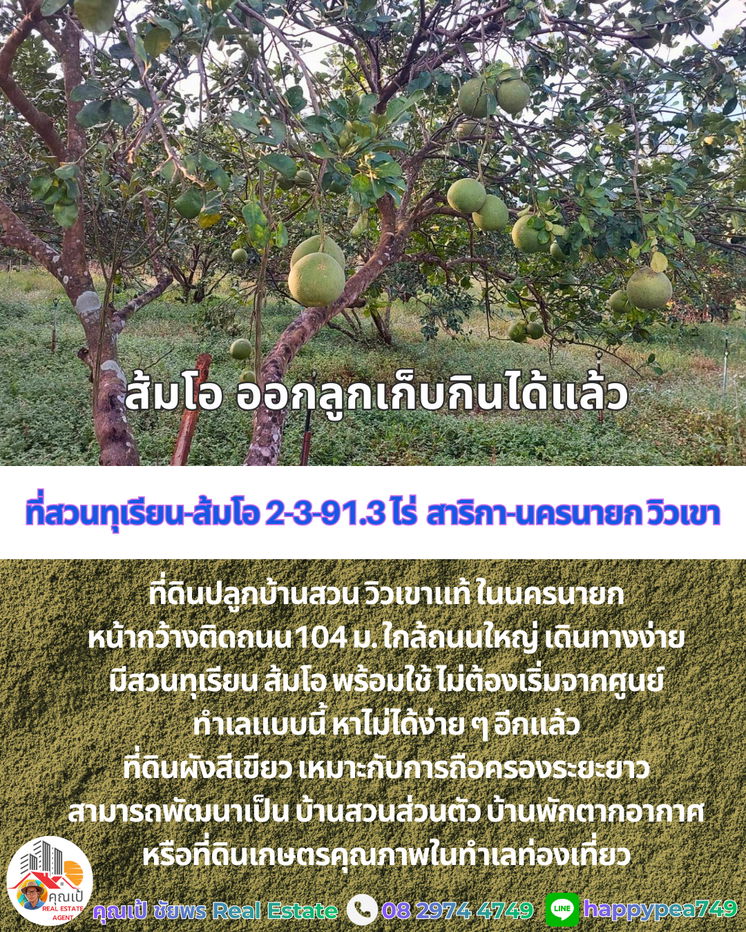 รูป ที่ดินพร้อมสวนทุเรียน-ส้มโอวิวเขา สาริกา นครนายก 2-3-91.3 ไร่ | เก็บผลผลิตได้ทันที คุ้มค่าการลงทุน - รูปที่ 11/20
