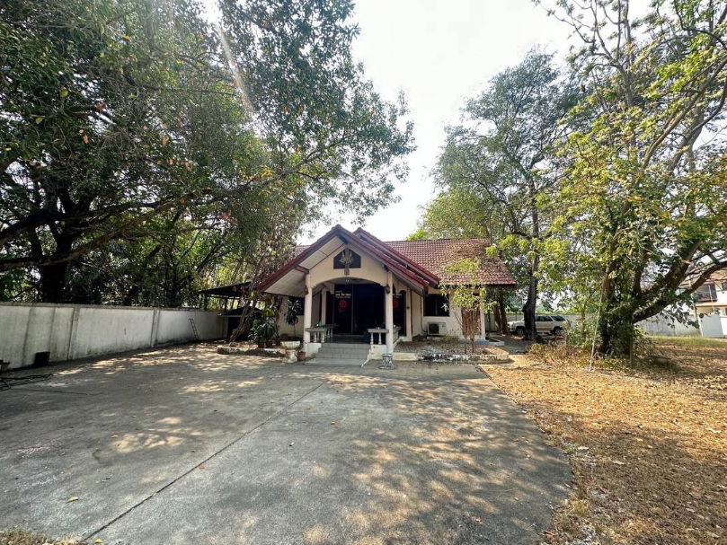 รูป ให้เช่า ที่ดิน สารภี ท่าศาลา  2-3-35 ไร่ ใกล้ บิ๊กซี ดอนจั่น (ID:270LR) - รูปที่ 3/4