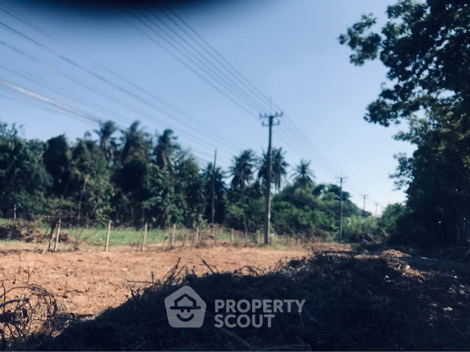 รูป ที่ดินสำหรับปล่อยขาย 8,000 ตารางเมตร แถว ใน หนองตาแต้ม (ID 2503447) - รูปที่ 2/3