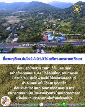 ที่ดินพร้อมสวนทุเรียน-ส้มโอวิวเขา สาริกา นครนายก 2-3-91.3 ไร่ | เก็บผลผลิตได้ทันที คุ้มค่าการลงทุน