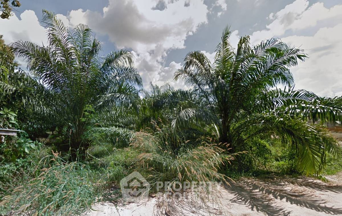 picture 28,800 m² Land for Sale in Tha Takhro (ID 2433065) - 2/3