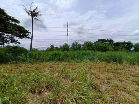 FOR SALE  LAND PROPERTY  181414800 BAHT.