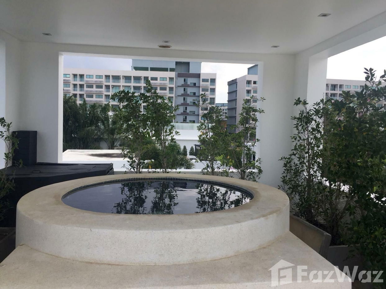 รูป ขาย วิลล่า 4 ห้องนอน ในโครงการ ปาล์ม โอเอซิส 655342 - รูปที่ 14/16