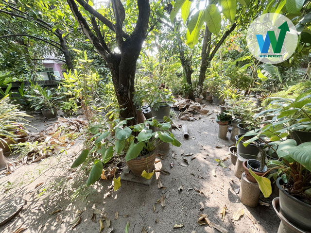 รูป ขายที่ดิน ติดถนนหน้ากว้างถึง 8 เมตร รถยนต์เข้า-ออกสะดวก สามารถขับสวนกันได้สบาย ไม่แออัด - รูปที่ 6/9