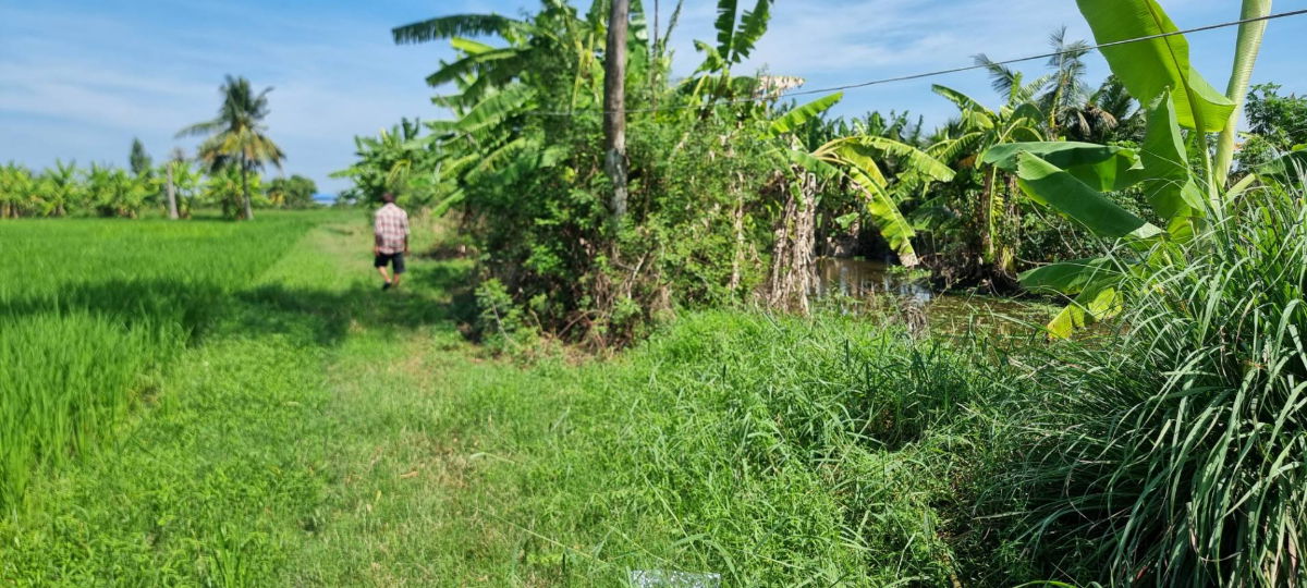 รูป ขายที่ดิน 1 ไร่ ใกล้สุวรรณภูมิ - รูปที่ 8/10