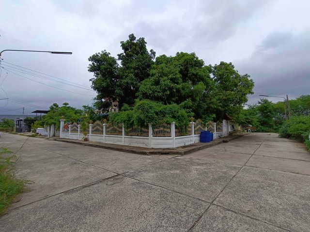 รูป BP00426 ขายบ้านเดี่ยว หมู่บ้านเทพธานี นครราชสีมา - รูปที่ 3/8