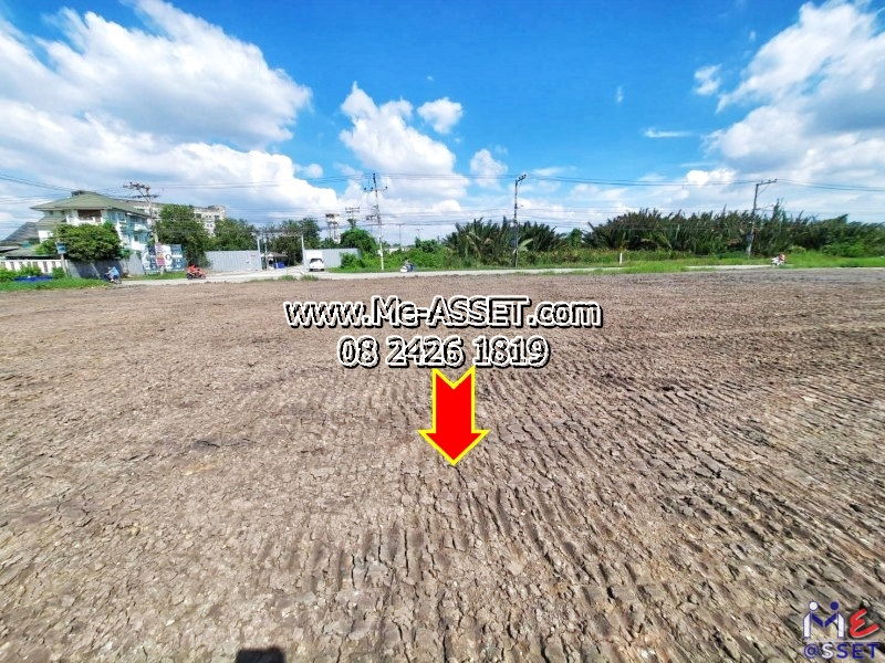 picture Sale: Filled Land 2-Rai, Ready to Build. Phra Samut Chedi-Suk Sawat area (Wat Laem Pha Pha). Near Thasanee 2 Uni. Prime road access. - 7/13