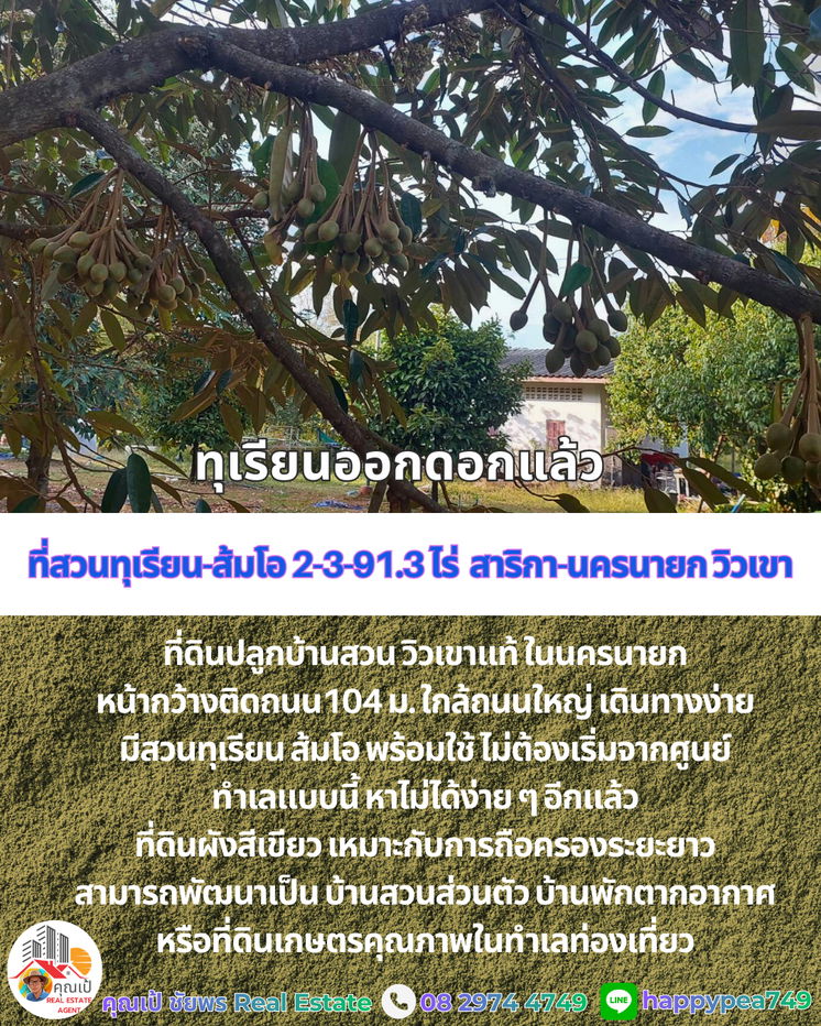 รูป ที่ดินพร้อมสวนทุเรียน-ส้มโอวิวเขา สาริกา นครนายก 2-3-91.3 ไร่ | เก็บผลผลิตได้ทันที คุ้มค่าการลงทุน - รูปที่ 10/20