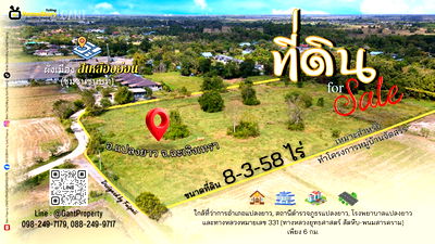 ขายที่ดิน : ขาย ที่ดินแปลงสวย เกือบ9ไร่ เหมาะทำบ้านจัดสรร อ.แปลงยาว จ.ฉะเชิงเทรา (Gant-310)