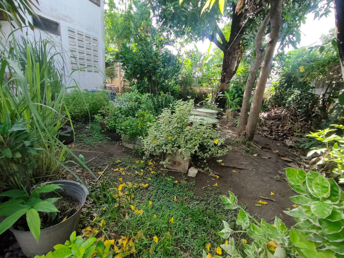 รูป 🏡ขายขาดทุน คุ้มมาก บ้านเดี่ยว 2 หลัง ในที่ดินเดียวกัน ทำเลอ่อนนุช เดินทางสะดวก ใกล้ BTS 🌿 - รูปที่ 10/11