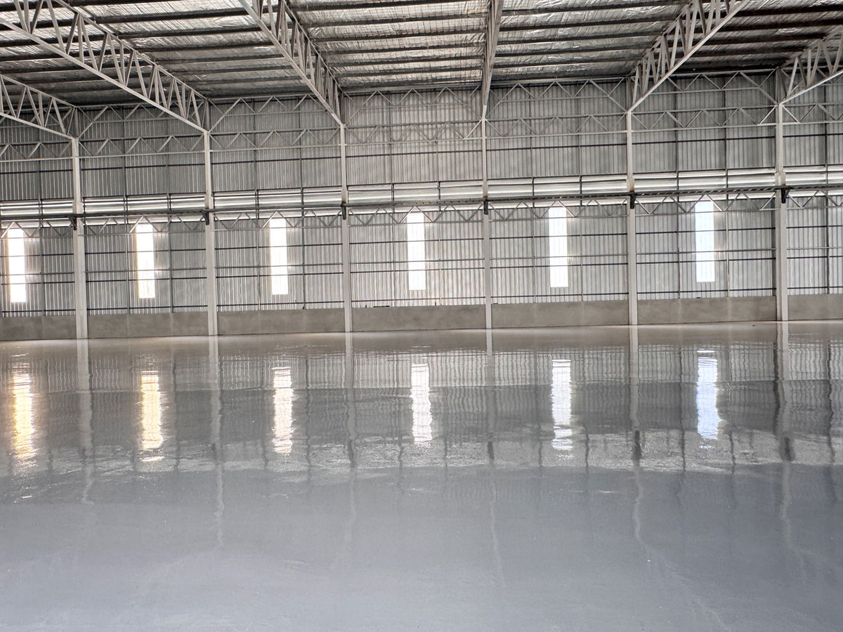 picture Kdkcjooisisjbnlppjjccccjjkmdsds - 11/16