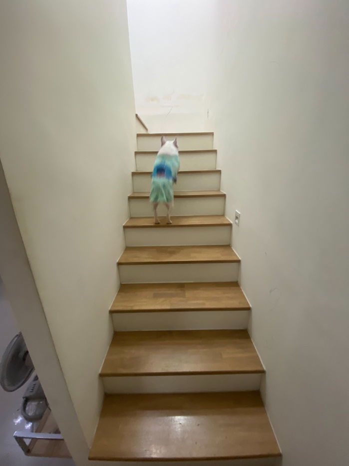 รูป ST0040 | ขาย ทาวน์โฮม 2 ชั้น Pleno สาทร–สุขสวัสดิ์ 💰 ขาย 2.57 ลบ.  - รูปที่ 9/14