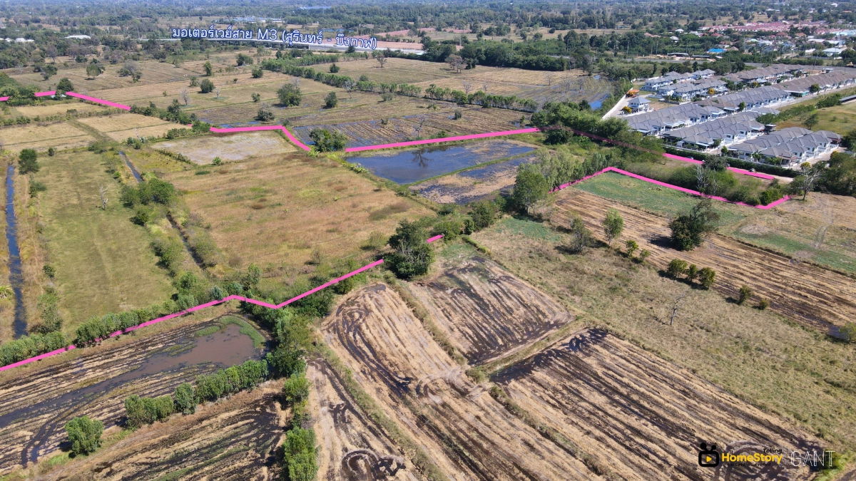รูป ขายที่ดินแปลงสวย 74 ไร่ เหมาะทำโครงการจัดสรร ใกล้โรบินสัน สุรินทร์เพียง 1 กม. (Gant-314) - รูปที่ 6/8