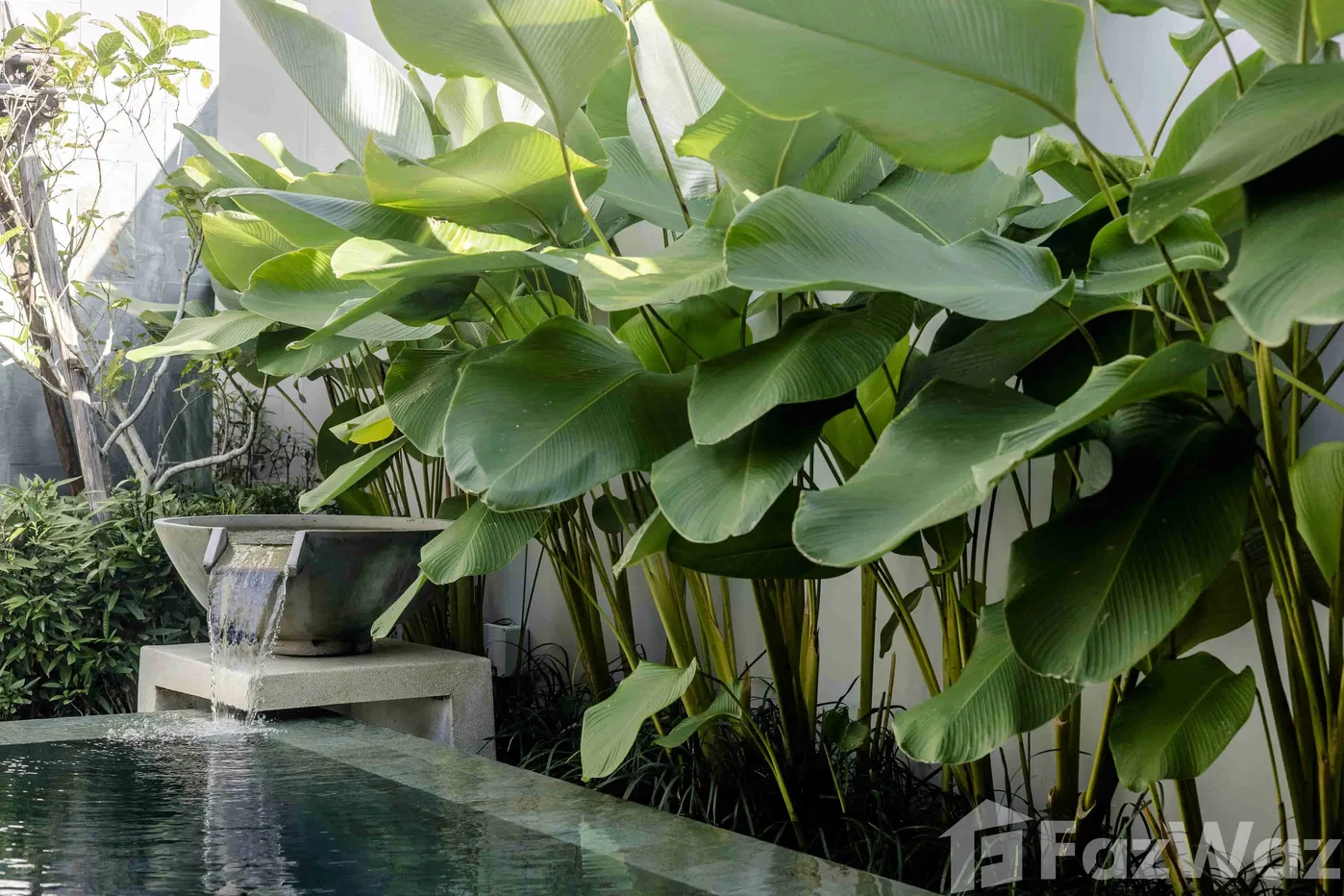 picture Anchan Flora 5934377 - 6/29