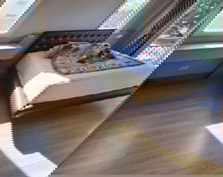 รูป ให้เช่าบ้านเดี่ยว 2 ชั้น หลังใหญ่ พื้นที่ดิน 150 ตารางวา / หมู่บ้านกรีนเนอรี่ วิลล์ รามคำแหง Greenery Ville สไตล์โมเดิร์นคลาสสิค ตรงข้าม รพ.เกษมราษฎร์  - รูปที่ 4/14