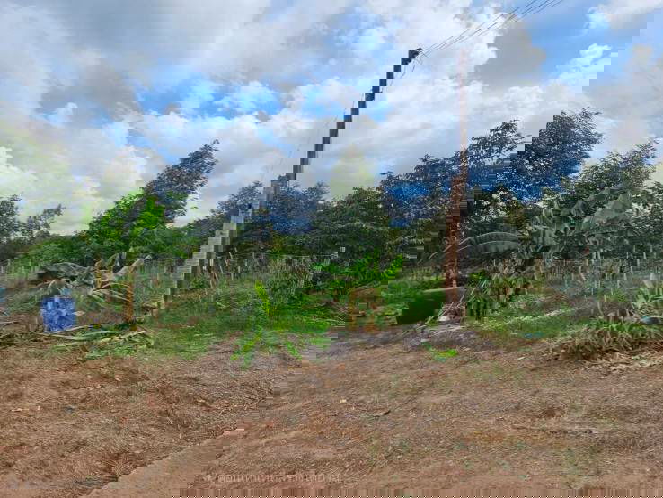 picture Land for sale with fruit orchard, 5 rai, Na Yai Am District, Chanthaburi. - 2/12