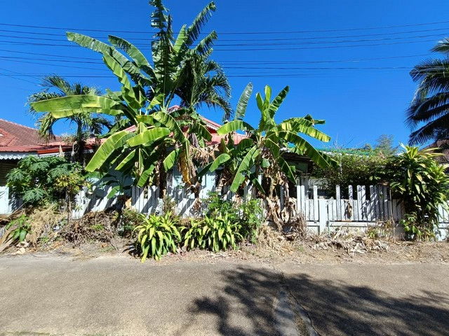 picture FOR SALE  HOUSE PROPERTY  1815000 BAHT. - 6/8