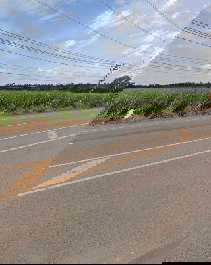 รูป ขายที่ดิน115ไร่ตำบลทุ่งอรุณ  อำเภอโชคชัยจังหวัดนครราชสีมา  พื้นที่ 115ไร่เศษ​ ขายละ750,000บาท  โฉนด  - รูปที่ 2/5