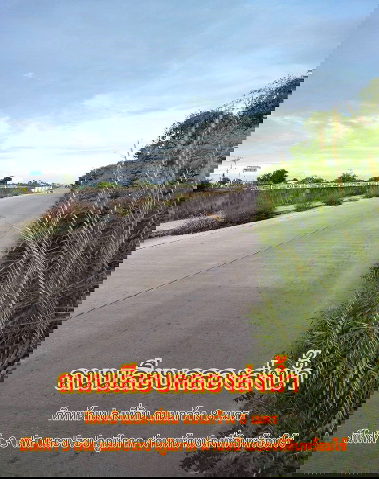 รูป ขายที่สีม่วง  31  ไร่ ใกล้ถนนเลียบมอเตอร์เวย์ สาย 7 ใกล้นิคมอมตะ ชลบุรี  ต.บางนาง อ.พานทอง จ.ชลบุรี - รูปที่ 1/9