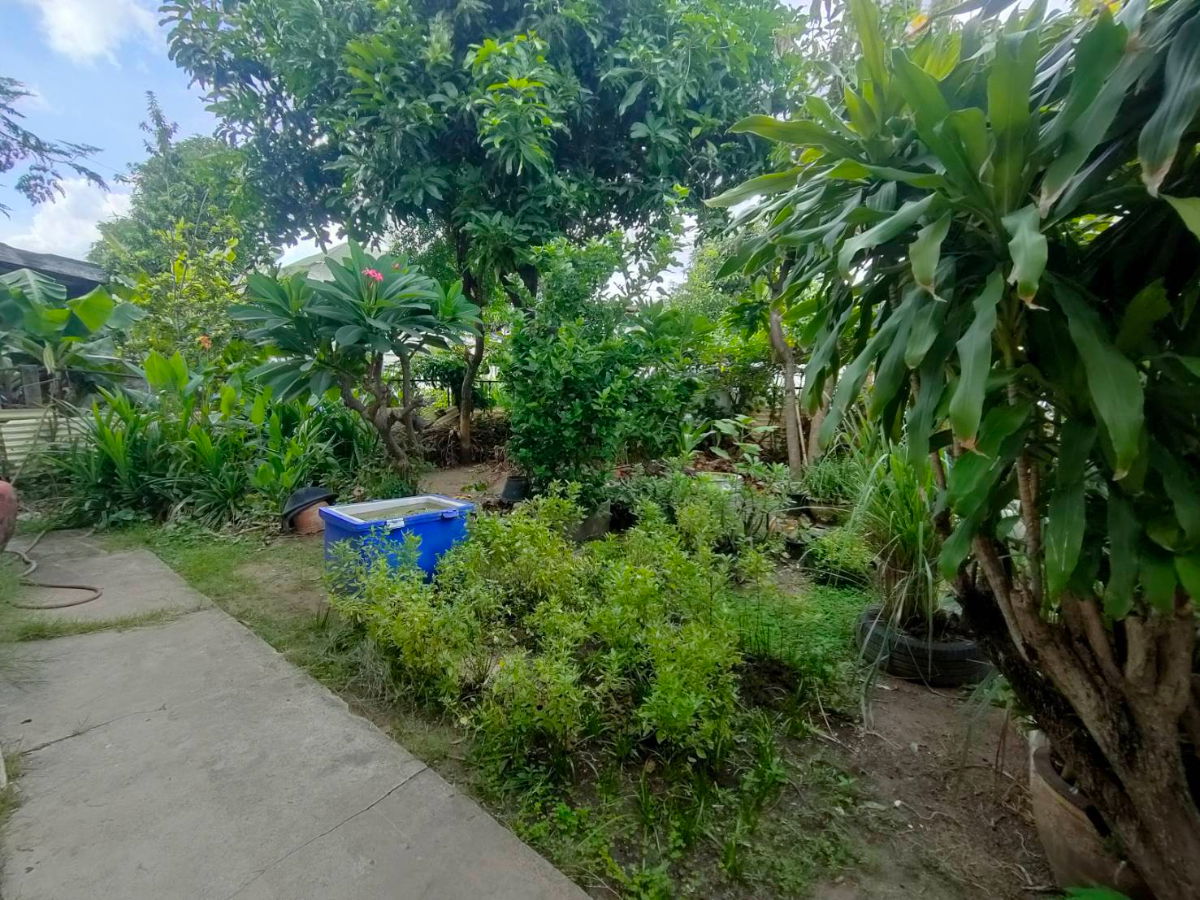 รูป 🏡ขายขาดทุน คุ้มมาก บ้านเดี่ยว 2 หลัง ในที่ดินเดียวกัน ทำเลอ่อนนุช เดินทางสะดวก ใกล้ BTS 🌿 - รูปที่ 11/11