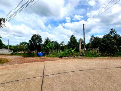 ขายที่ดิน : ขายที่ดินพร้อมสวนผลไม้ 5 ไร่  อำเภอนายายอาม จันทบุรี