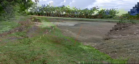 ขายที่ดินเปล่า นครนายก 2 ไร่ 3 งาน ติดชลประทาน ใกล้ตัวเมือง เหมาะทำเกษตร/บ้านสวน