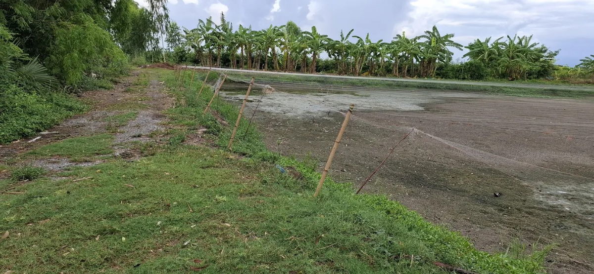 รูป ขายที่ดินเปล่า นครนายก 2 ไร่ 3 งาน ติดชลประทาน ใกล้ตัวเมือง เหมาะทำเกษตร/บ้านสวน - รูปที่ 1/5